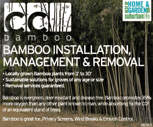 Chester County Bamboo 3-23-26