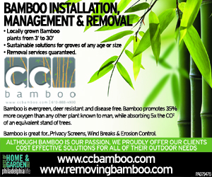 CC Bamboo 1-19-22