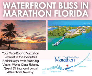 Ocean Rental Group - Stenella - 3-12-26